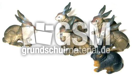 Hasen1+5.jpg